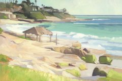 Windansea Beach Windansea Beach