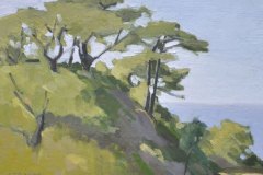 Torrey Pines Torrey Pines