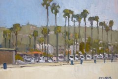 La Jolla Shores Beach Palms La Jolla Shores Beach Palms