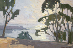 Eucalyptus Above<br />La Jolla Eucalyptus Above<br />La Jolla