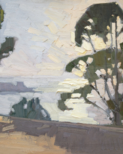 Eucalyptus Above<br />La Jolla Eucalyptus Above<br />La Jolla