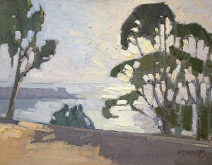 Eucalyptus Above<br />La Jolla Eucalyptus Above<br />La Jolla