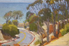 Winding Down La Jolla Shores Drive Winding Down La Jolla Shores Drive