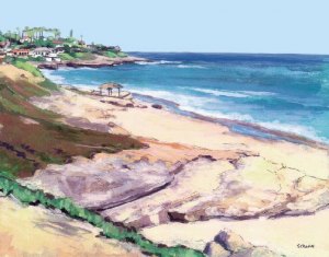 Windansea Beach Windansea Beach