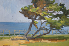 Scripps Park Tree Scripps Park Tree