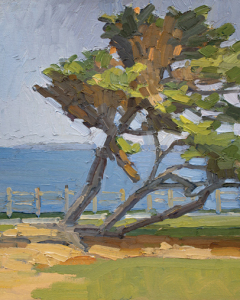 Scripps Park Tree Scripps Park Tree