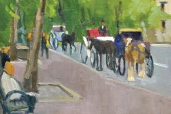 Carriage Ride<br />in New York City Carriage Ride<br />in New York City