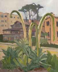 Fox Tails<br />and Torrey Pines Fox Tails<br />and Torrey Pines