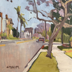 Jacaranda Trees Along First Avenue