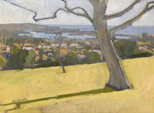 Basking in Early Spring Sunshine