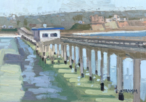 View from<br />Ocean Beach Pier