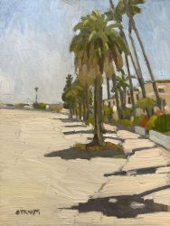 Palm Trees Along<br />Bayside Walk Palm Trees Along<br />Bayside Walk