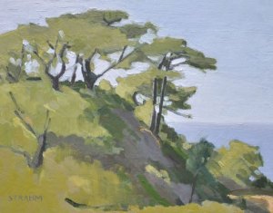 Torrey Pines Torrey Pines