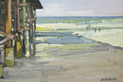 Crystal Pier Surfers