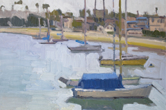 Moored Boats at Santa Barbara Harbor