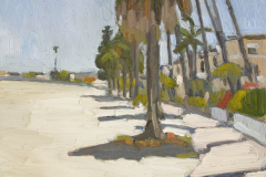 Palm Trees Along Bayside South Mission