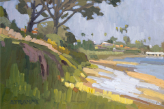 Tree Canopy Along the Trail Tree Canopy Along the Trail