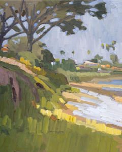 Tree Canopy Along the Trail Tree Canopy Along the Trail