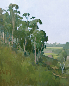 Switzer Canyon<br />(North Park / South Park) Switzer Canyon<br />(North Park / South Park)